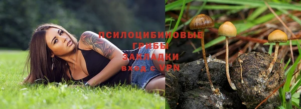 бошки Алексин